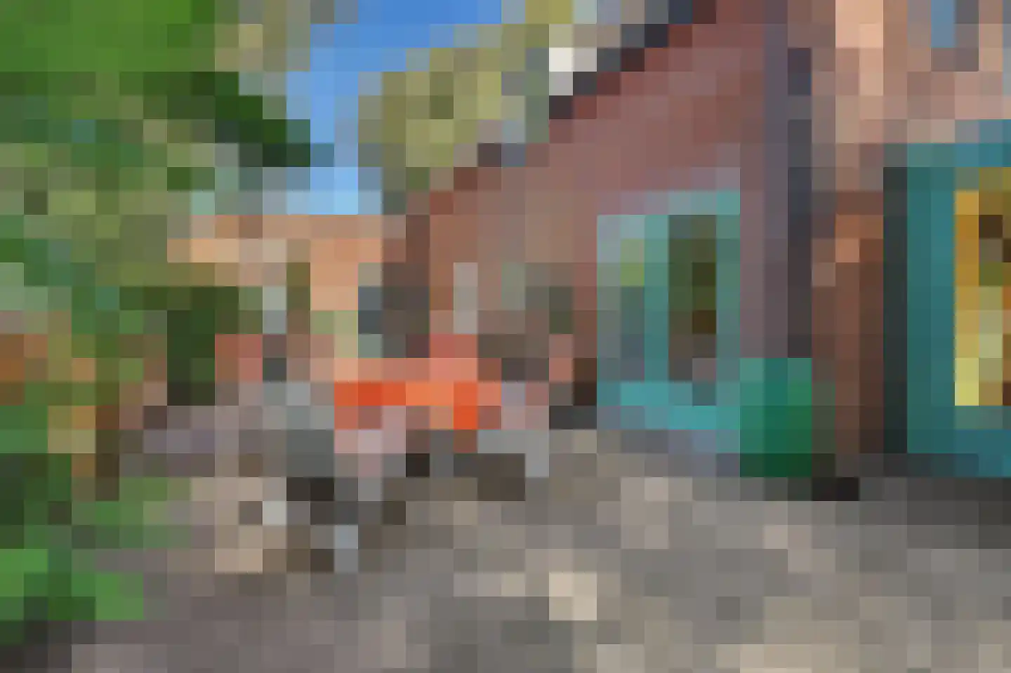 Molensteeg 17 A Drunen thumbnail 40