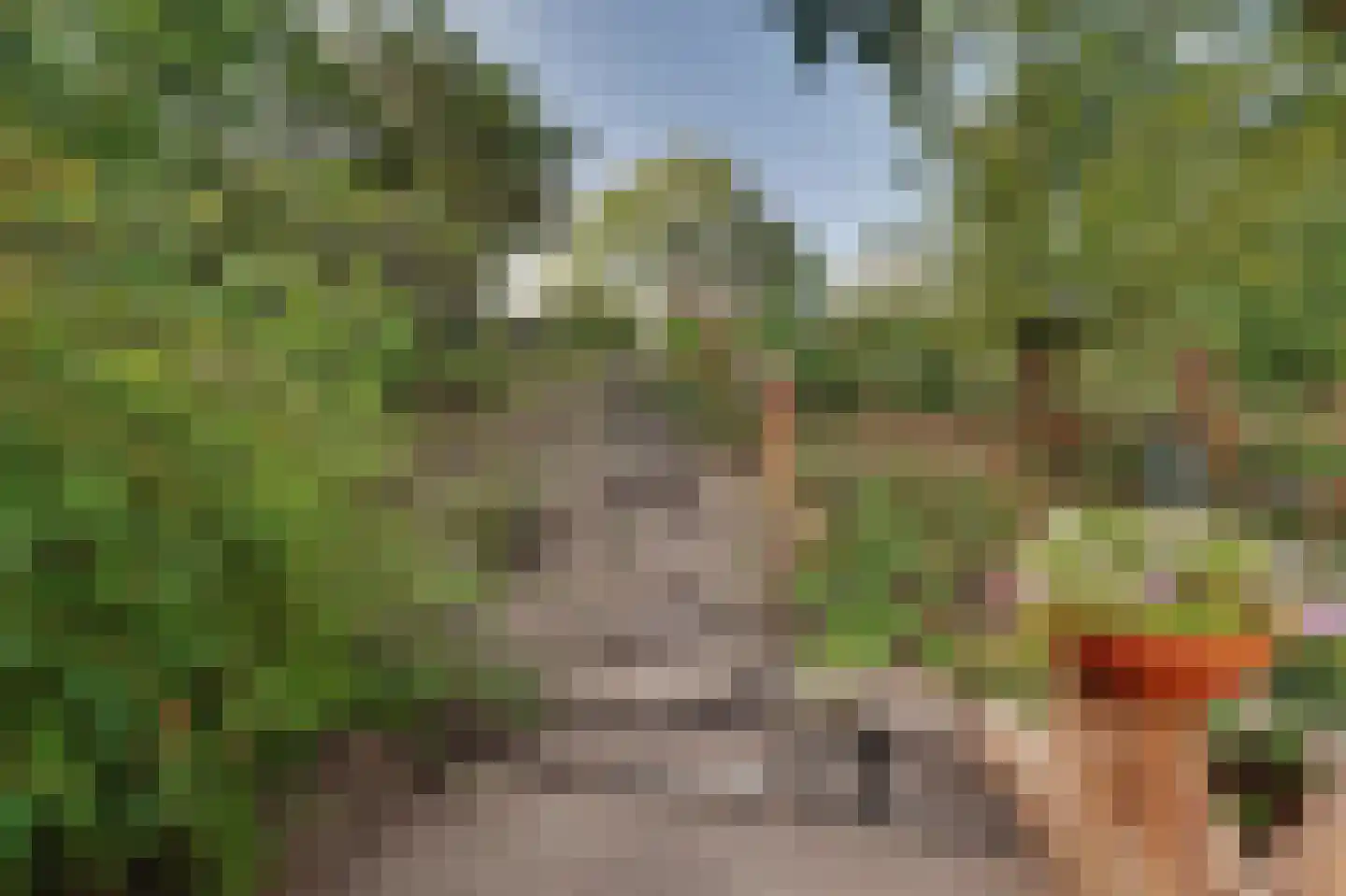 Molensteeg 17 A Drunen thumbnail 43