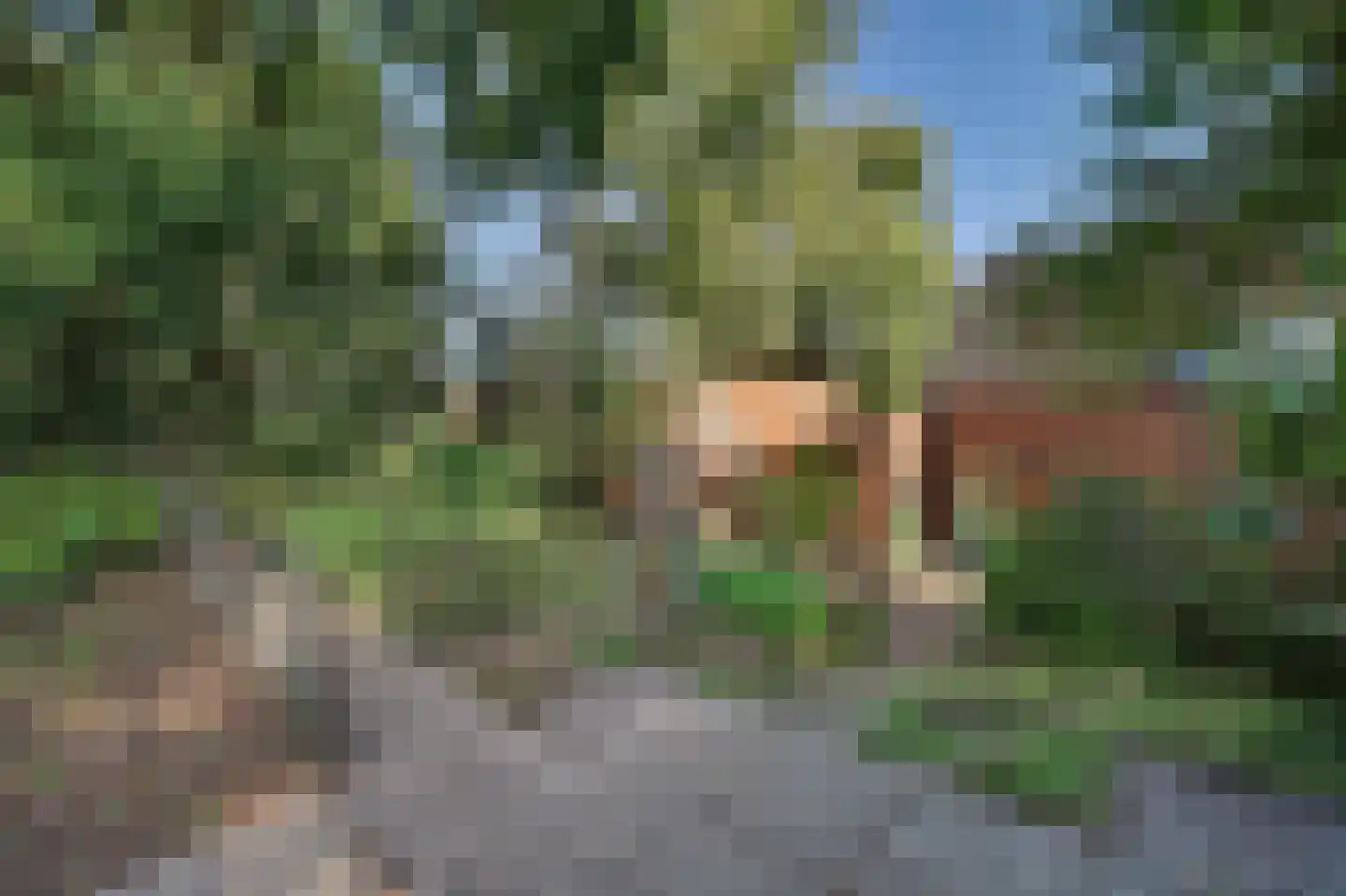 Molensteeg 17 A Drunen thumbnail 44