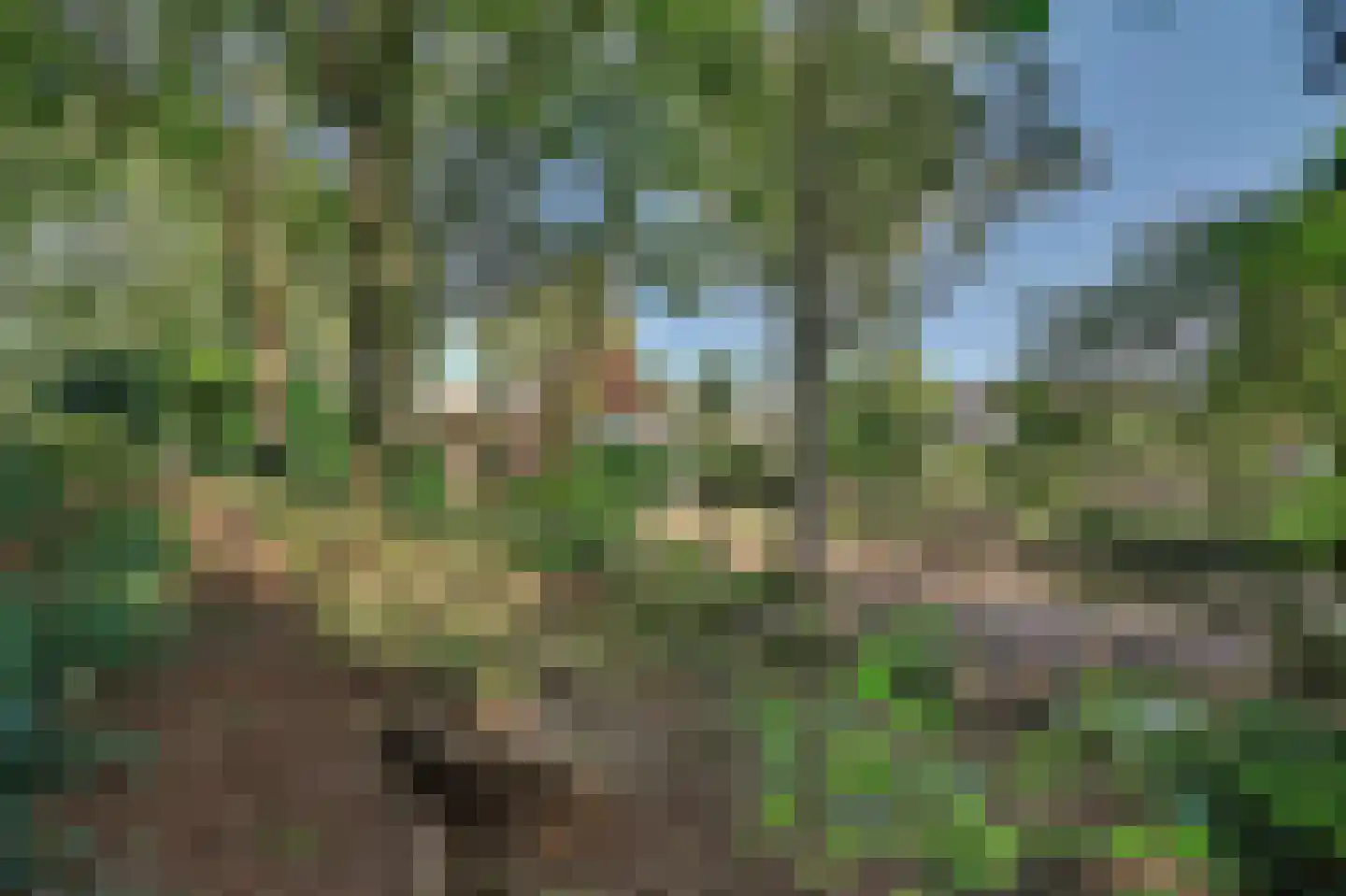 Molensteeg 17 A Drunen thumbnail 48