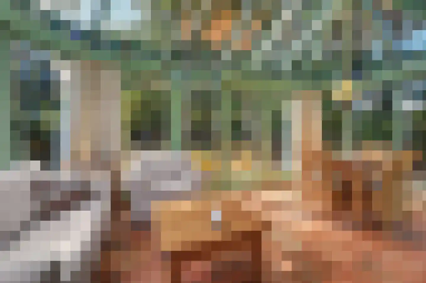Molensteeg 17 A Drunen thumbnail 5