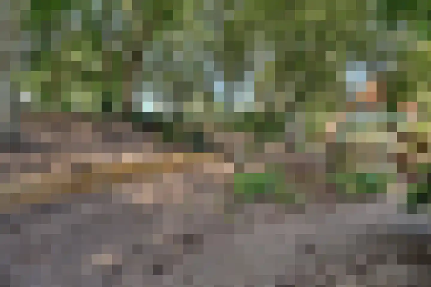 Molensteeg 17 A Drunen thumbnail 50