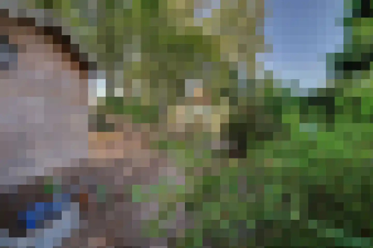 Molensteeg 17 A Drunen thumbnail 51