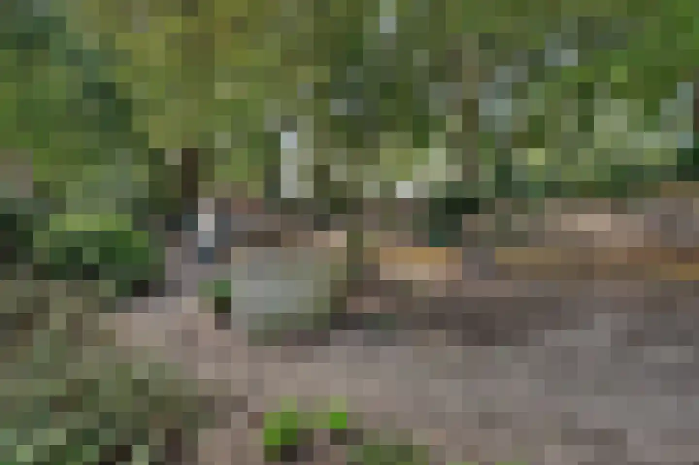 Molensteeg 17 A Drunen thumbnail 52