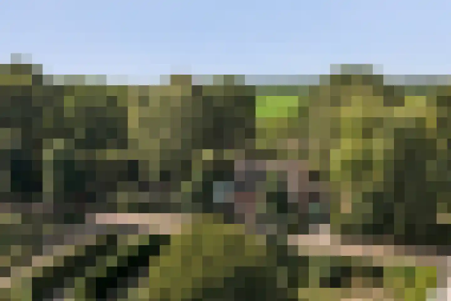 Molensteeg 17 A Drunen thumbnail 54