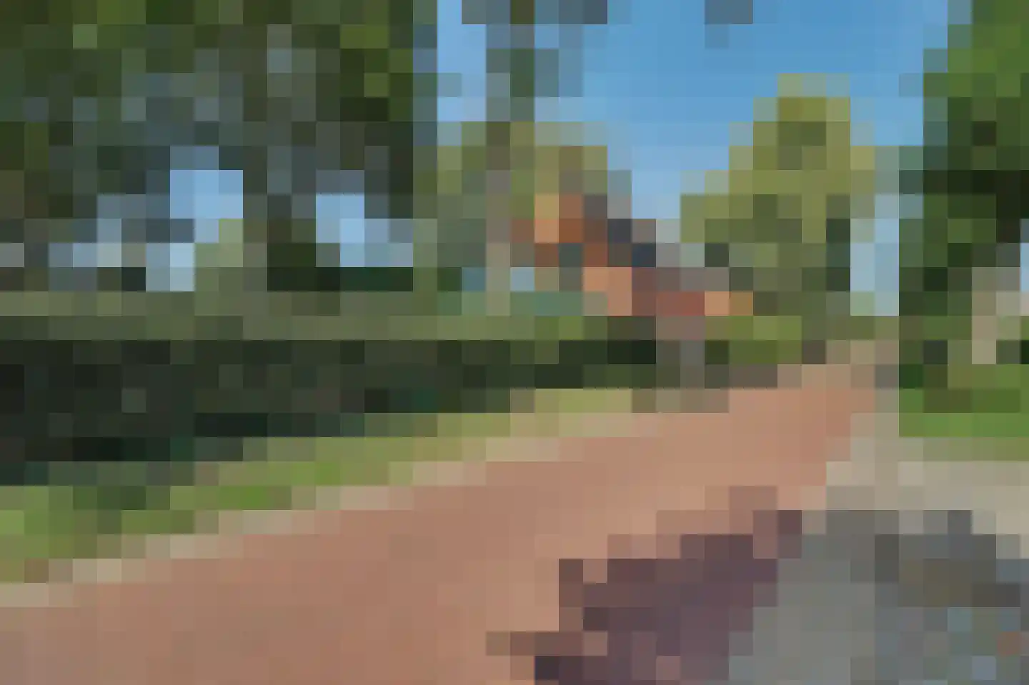 Molensteeg 17 A Drunen thumbnail 58
