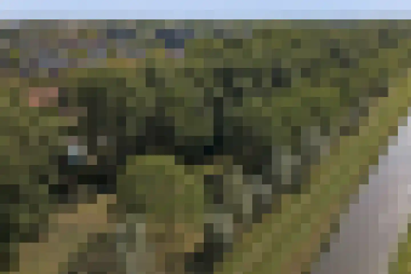 Molensteeg 17 A Drunen thumbnail 60