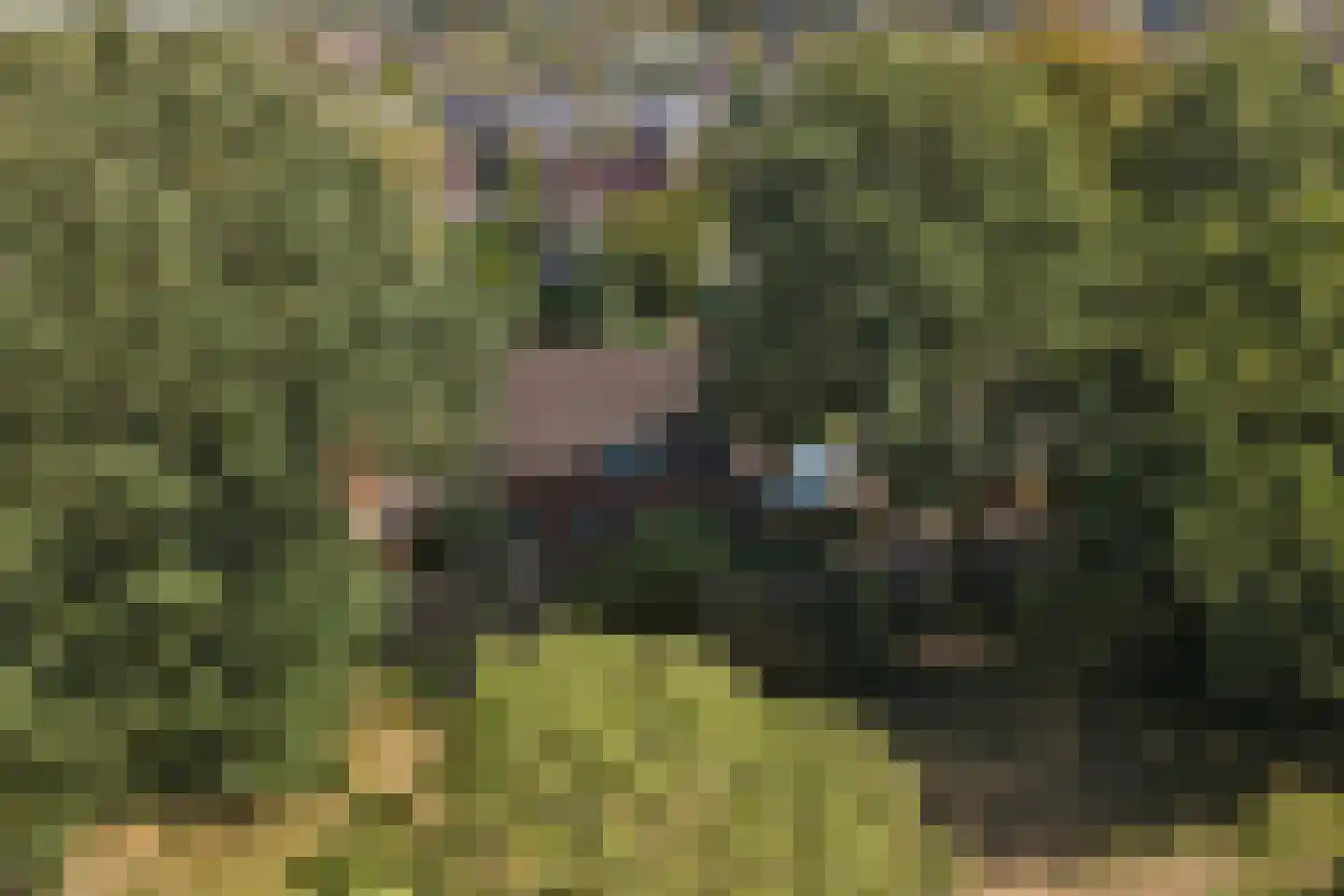 Molensteeg 17 A Drunen thumbnail 61