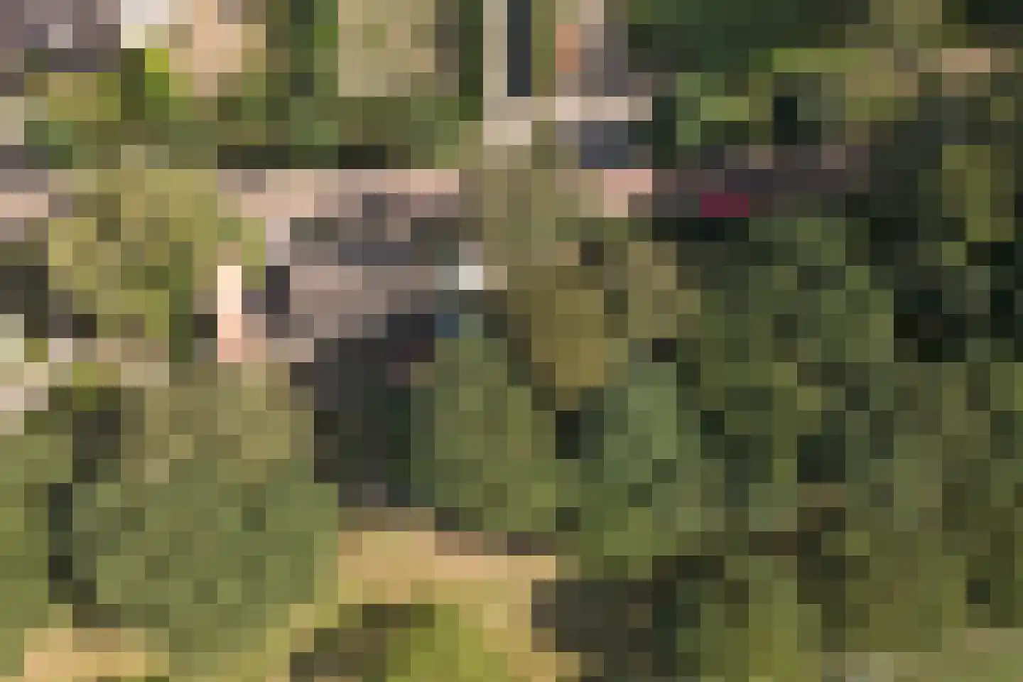 Molensteeg 17 A Drunen thumbnail 62
