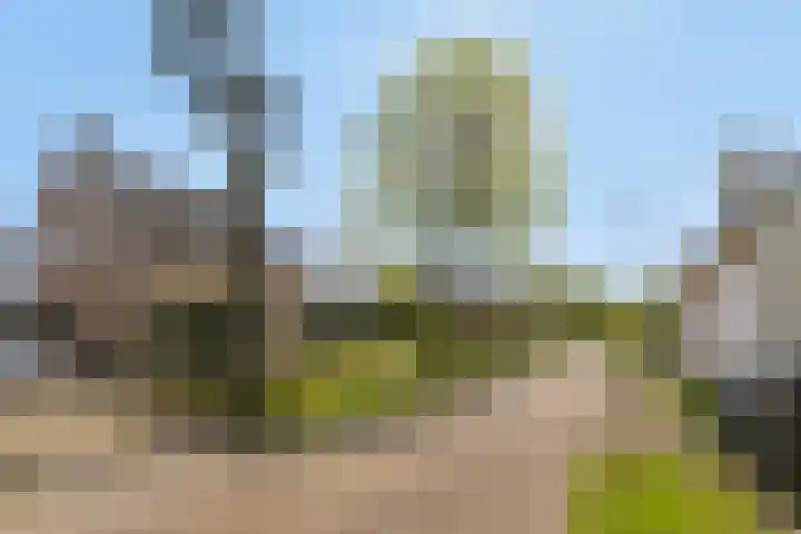 Molensteeg 2 Drunen thumbnail 34