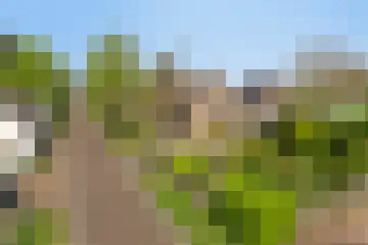 Molensteeg 2 Drunen thumbnail 35