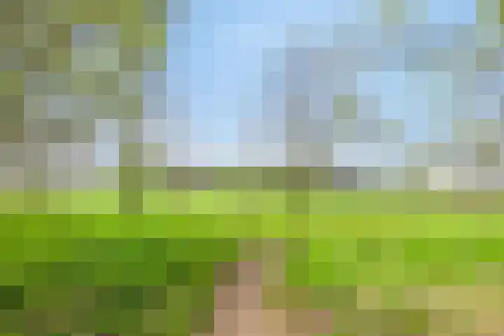 Molensteeg 2 Drunen thumbnail 36