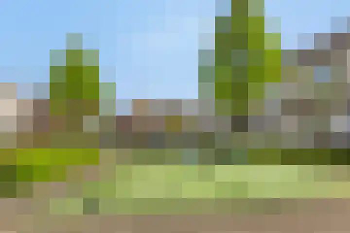 Molensteeg 2 Drunen thumbnail 38