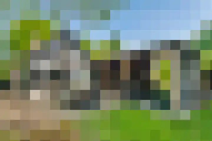 Molensteeg 2 IJzendoorn thumbnail 23