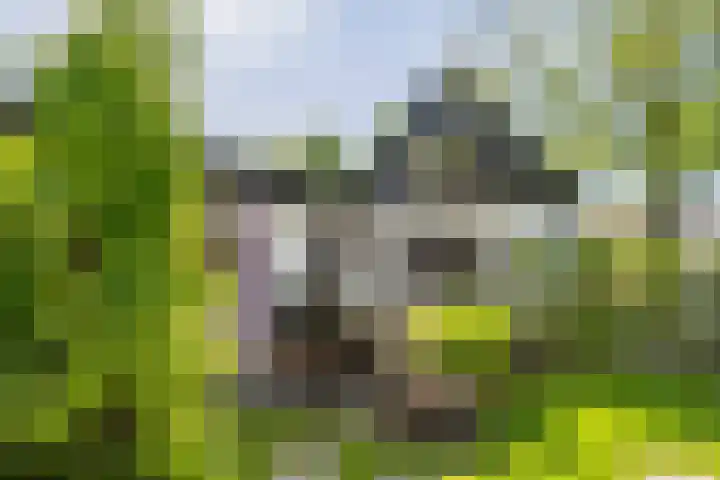 Molensteeg 2 IJzendoorn thumbnail 31