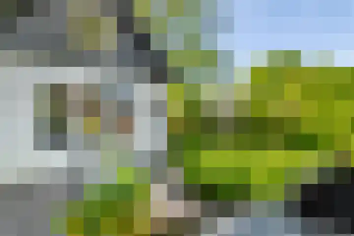 Molensteeg 2 IJzendoorn thumbnail 32