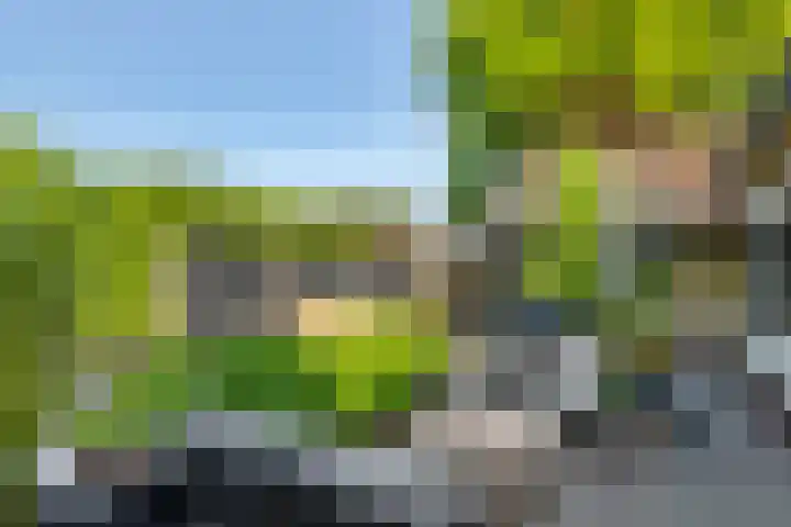 Molensteeg 2 IJzendoorn thumbnail 33