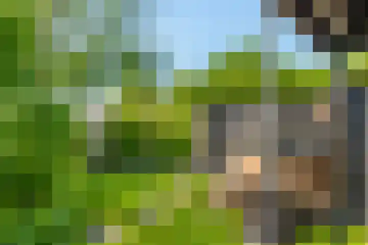 Molensteeg 2 IJzendoorn thumbnail 36