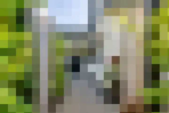 Molensteeg 2 IJzendoorn thumbnail 37