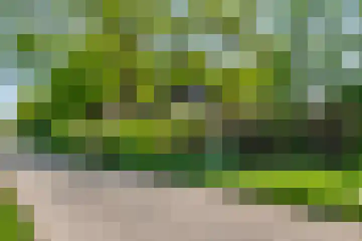 Molensteeg 2 IJzendoorn thumbnail 39