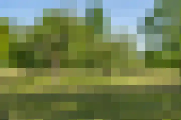 Molensteeg 2 IJzendoorn thumbnail 40