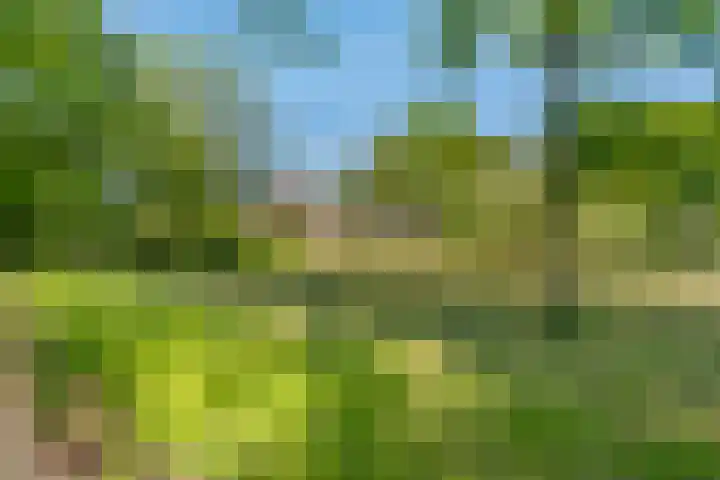 Molensteeg 2 IJzendoorn thumbnail 41