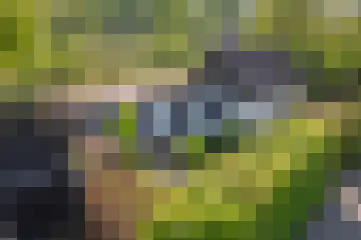 Molensteeg 2 IJzendoorn thumbnail 45