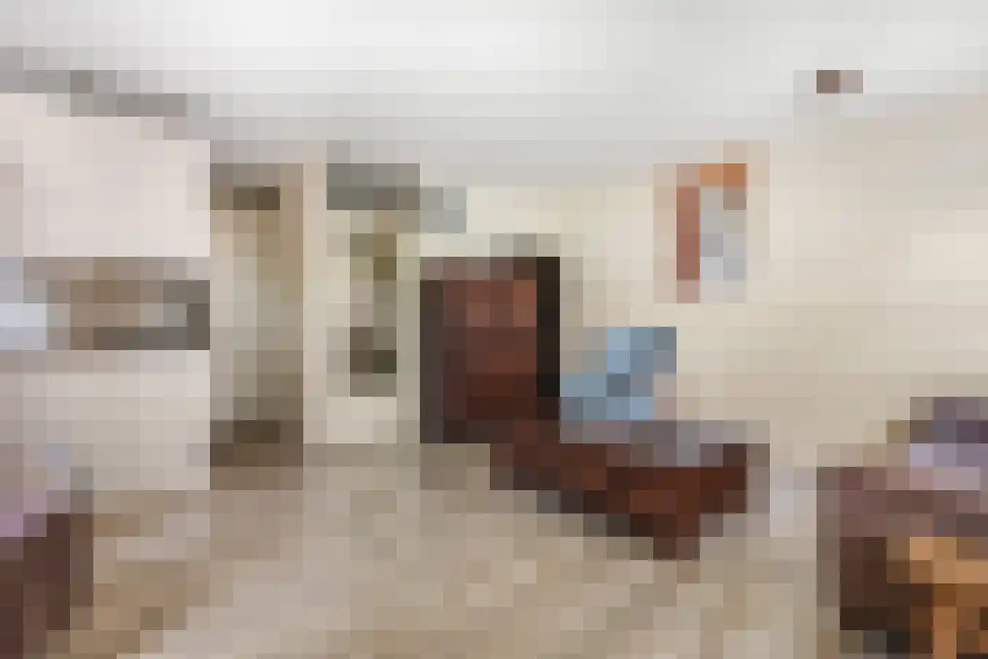 Molensteeg 25 Tiel thumbnail 11