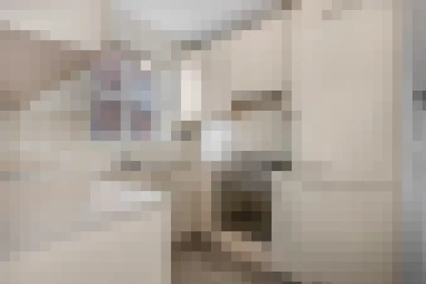 Molensteeg 25 Tiel thumbnail 12