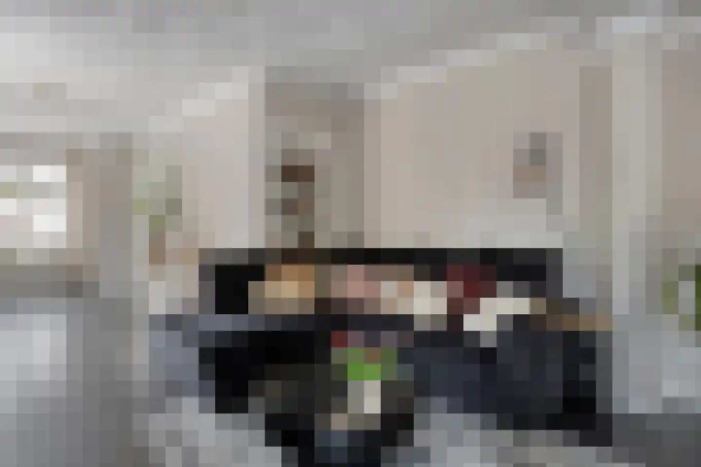 Molensteeg 30 Dongen thumbnail 11