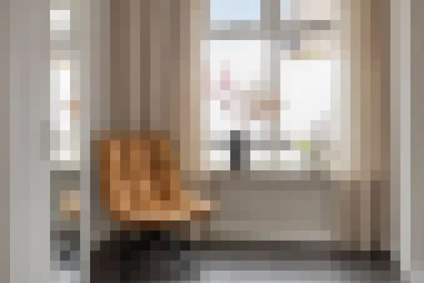 Molensteeg 30 Dongen thumbnail 15