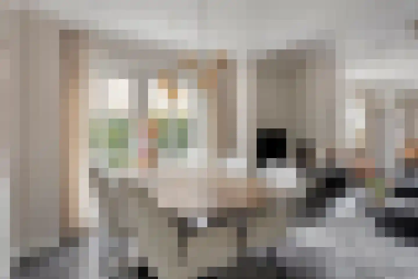 Molensteeg 30 Dongen thumbnail 17