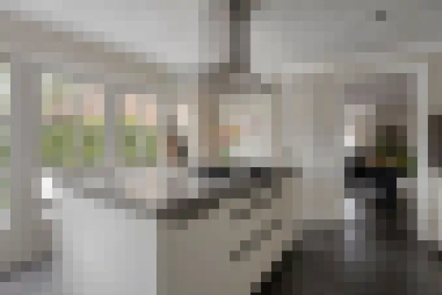 Molensteeg 30 Dongen thumbnail 18