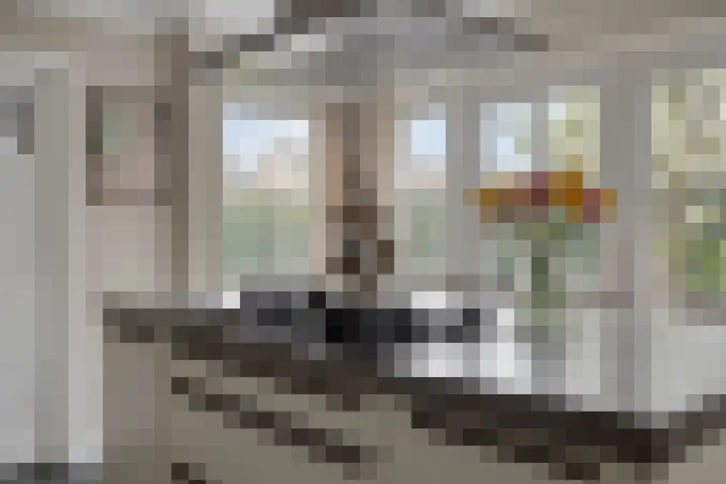 Molensteeg 30 Dongen thumbnail 21