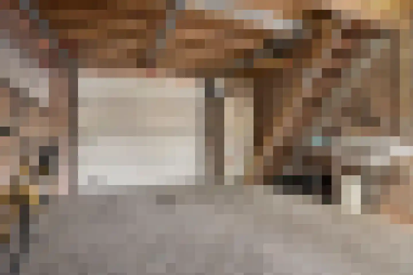 Molensteeg 30 Dongen thumbnail 35