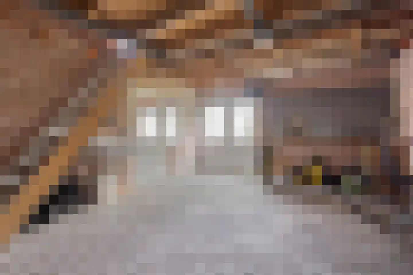 Molensteeg 30 Dongen thumbnail 36