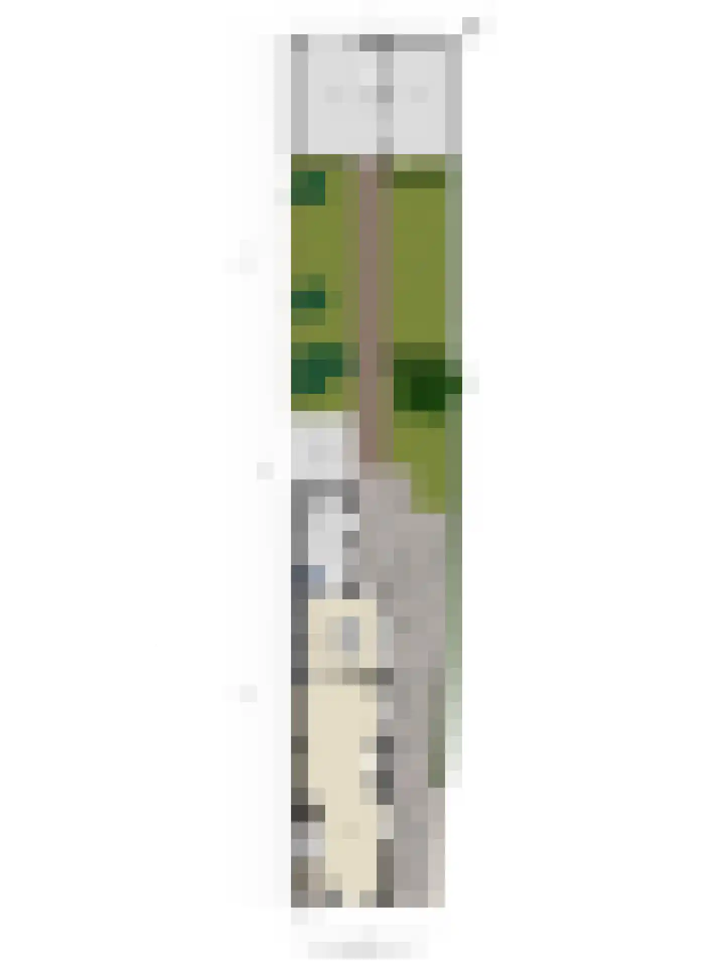 Molensteeg 30 Dongen thumbnail 42