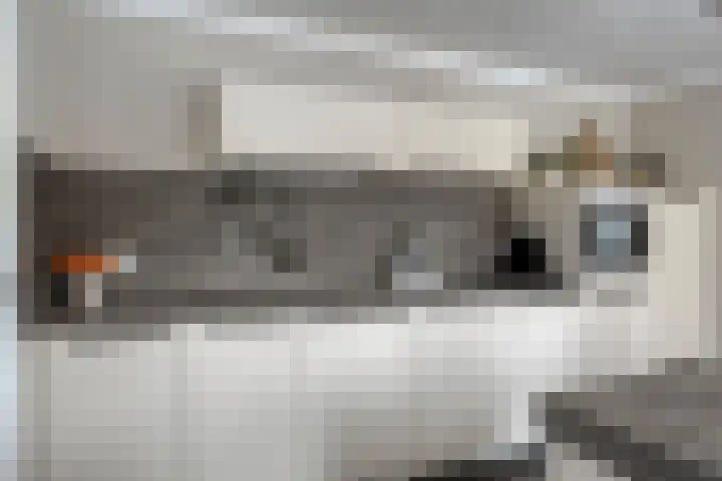 Molensteeg 30 Dongen thumbnail 5