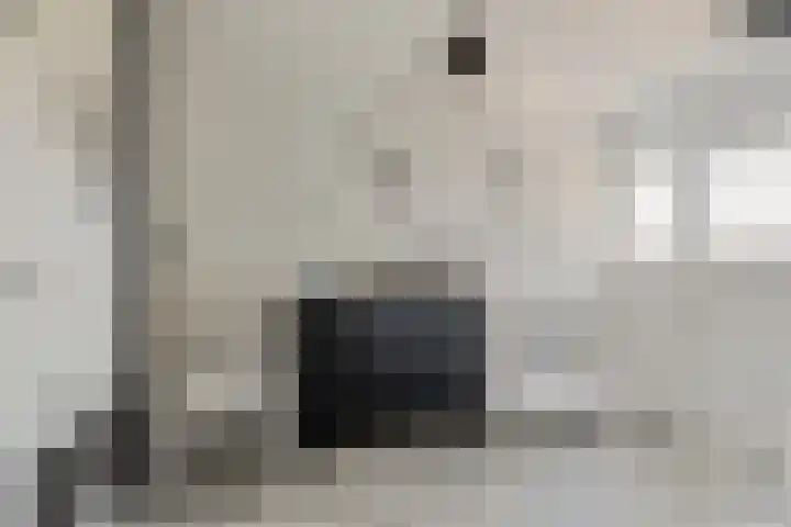Molensteen 1 Bergeijk thumbnail 12
