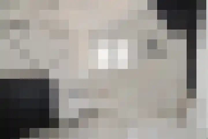 Molensteen 1 Bergeijk thumbnail 13