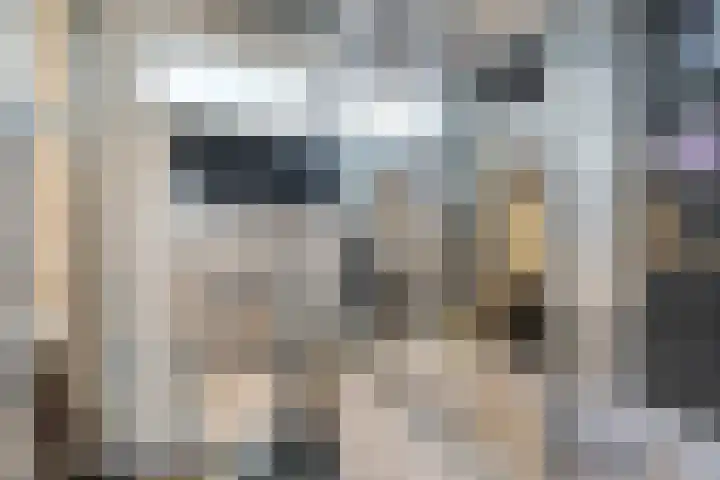 Molensteen 1 Bergeijk thumbnail 16
