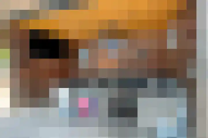 Molensteen 1 Bergeijk thumbnail 19