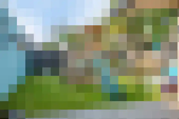 Molensteen 1 Bergeijk thumbnail 20