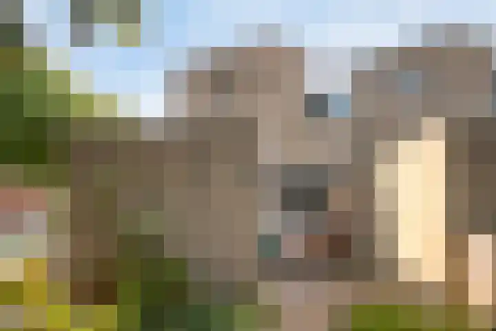 Molensteen 1 Bergeijk thumbnail 23