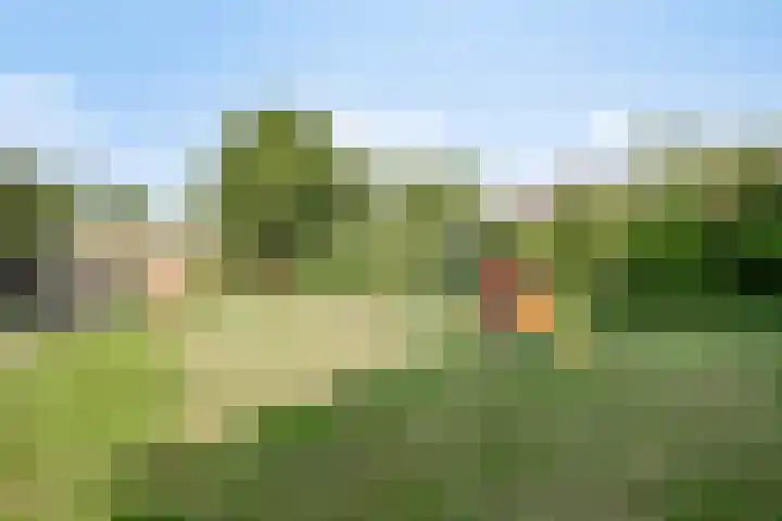 Molensteen 1 Bergeijk thumbnail 24