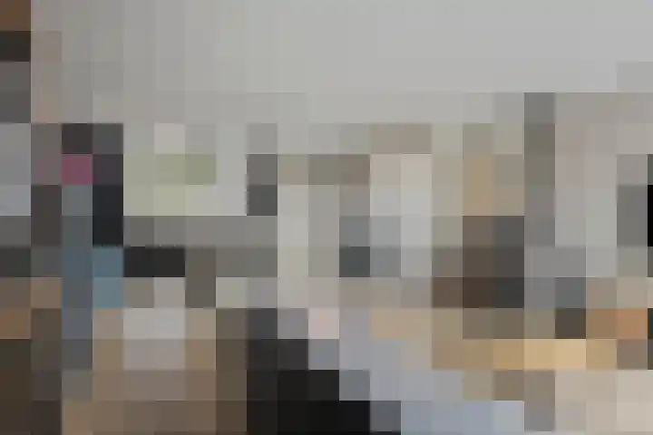 Molensteen 1 Bergeijk thumbnail 4