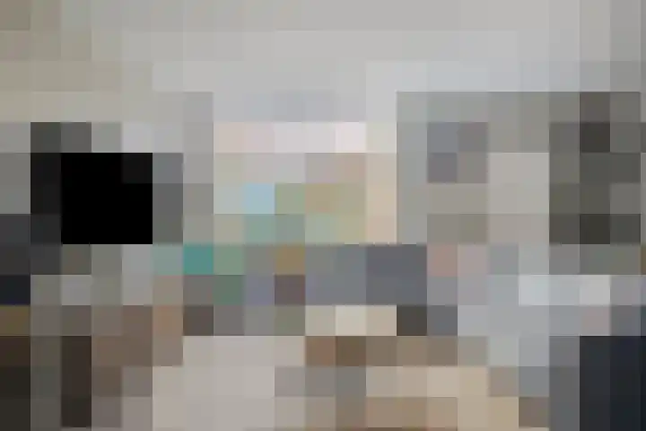 Molensteen 1 Bergeijk thumbnail 5