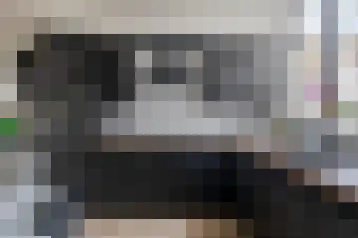 Molensteen 1 Bergeijk thumbnail 7