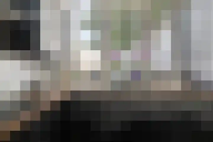 Molensteen 1 Bergeijk thumbnail 8