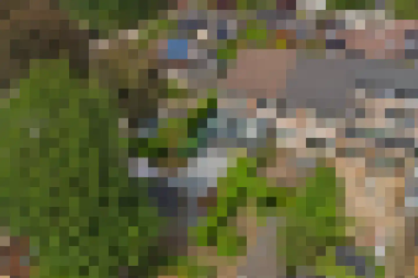 Molensteen 10 Huissen foto 2
